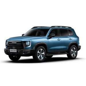 Mantención 10.000 km – GWM Dargo